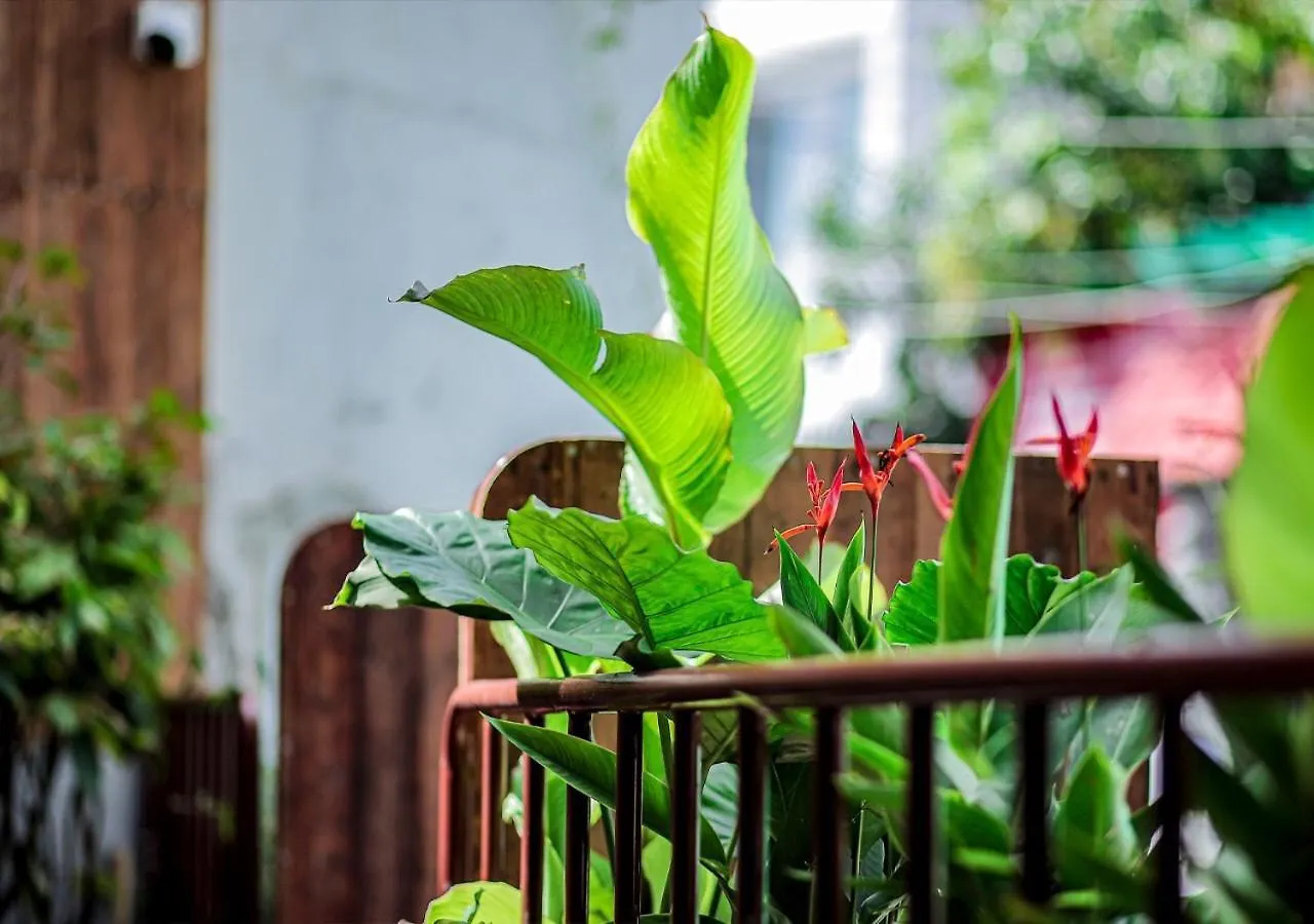 Homestay 5-Homestay II Vung Tau